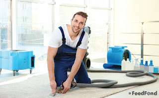 Complete Guide to the Best Carpet Cleaner for Pets