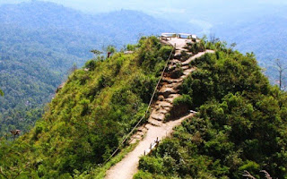 Pemandangan gunung tampak dari kebun teh nglinggo