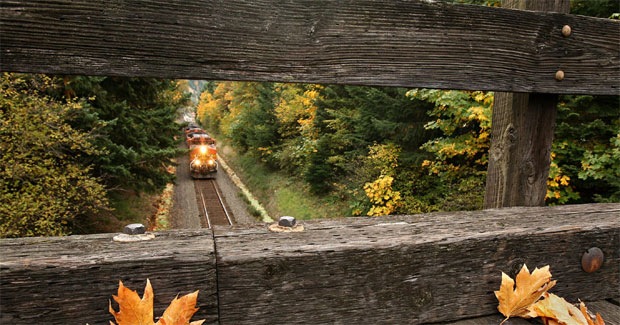 Stunning Collection of Railroads and Train Photography Surrounded by Heavenly Landscape 