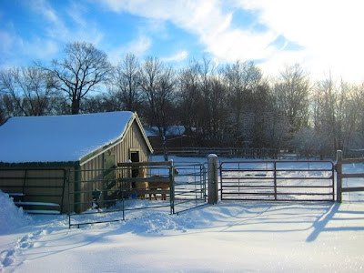 Aspendance Alpacas