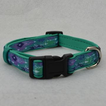 funky dog collar in Australia