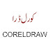 Download freeCoral Draw9,11,12,14,x4,x6 Video Training in Urdu Language 