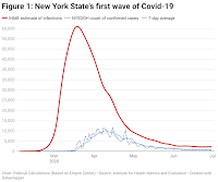 Figure 1: New York State's first wave of Covid-19