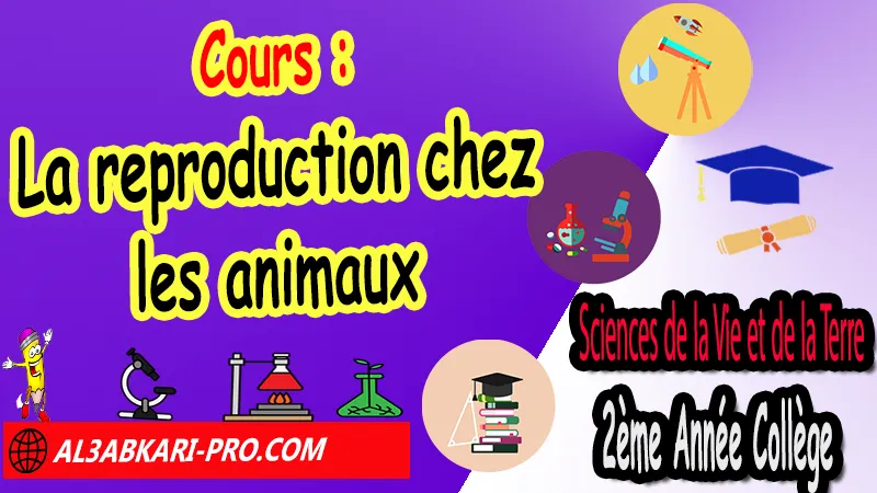 Cours N°4 sur la reproduction chez les animaux, Sciences de la Vie et de la Terre (SVT) de 2ème Année Collège, SVT 2AC biof, Sciences de la Vie et de la Terre (SVT) 2APIC option française, Cours de la reproduction chez les animaux 2ème Année Collège 2AC, Résumé de cours La reproduction chez les animaux 2ème Année Collège 2AC, exposé sur La reproduction chez les animaux, Exercices de Sciences de la Vie et de la Terre (SVT) 2ème année collège en Francais corrigés, svt 2ème année collège pdf, svt 2ac exercices corrigés pdf, cours svt 2ème année collège maroc en français pdf