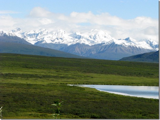 Denali Hwy. Scenery 8-11-2011 10-57-34 AM 3264x2448