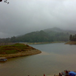 View album