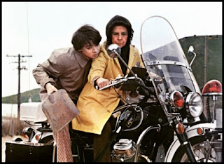 Harold y Maude, canciones de Cat Stevens