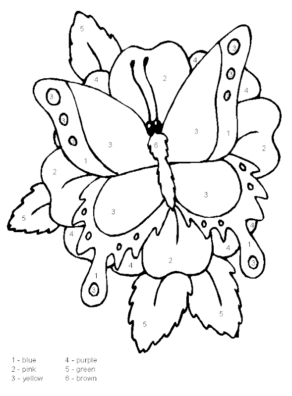 Smiling butterfly coloring title=