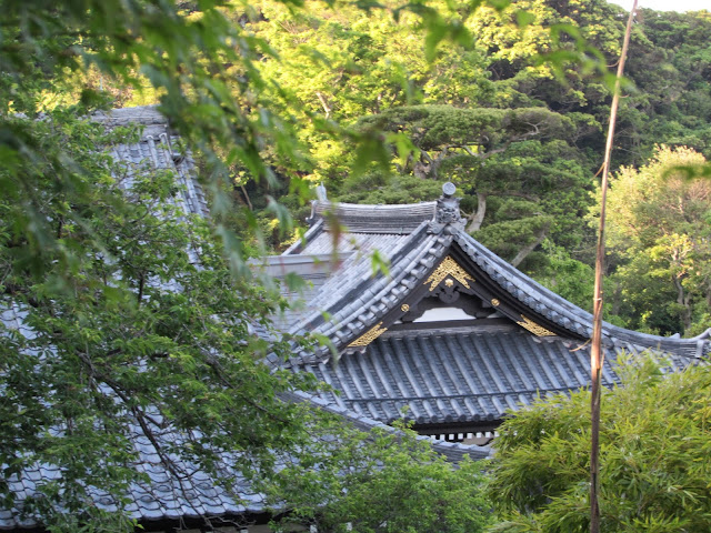 kamakura hase dera