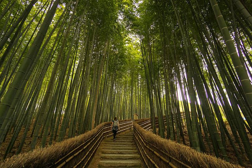 Located in the western part of Kyoto, the Sagano and Arashiyama area is one of the best places to enjoy the picturesque landscape of nature of Japan in combination with various traditional temples.