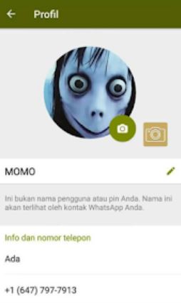 nomor asli wa momo whatsapp meksiko