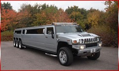 triple axle hummer