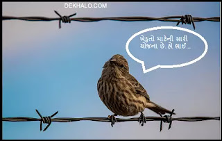 કાંટાળી તારની વાડ બનાવવાની યોજના.