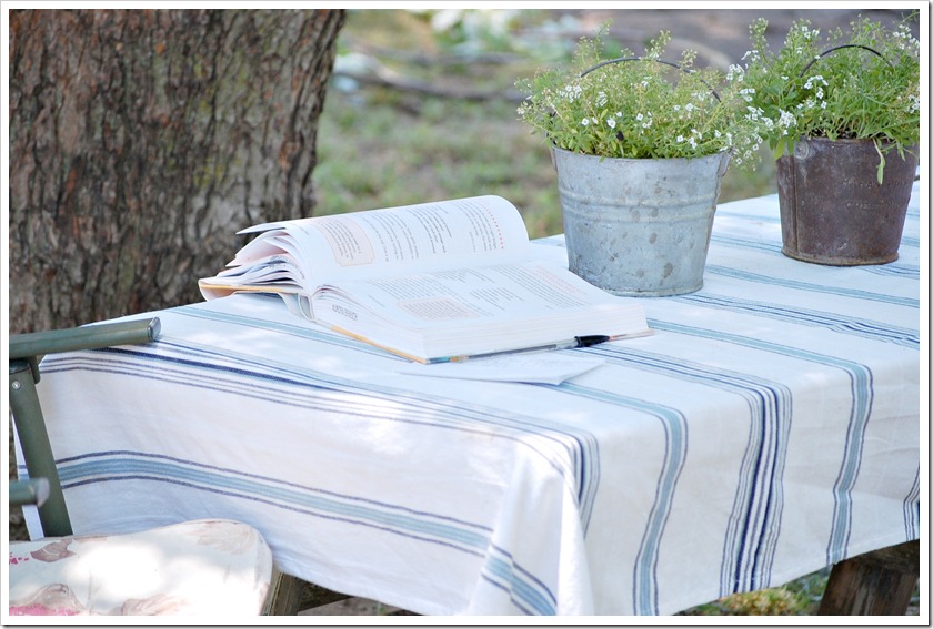 picnic table galvanized buckets
