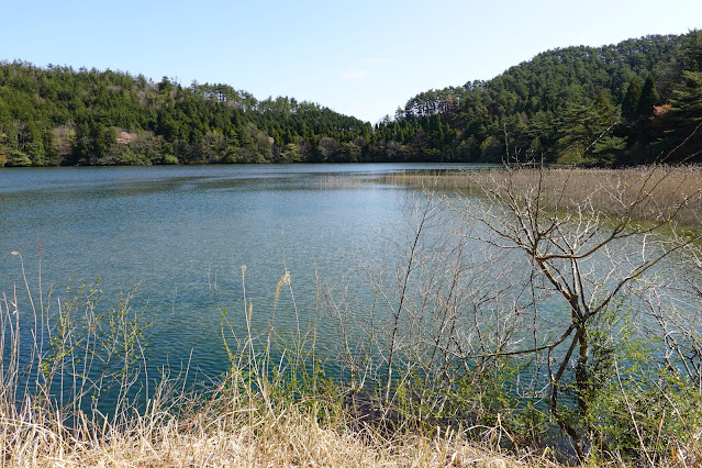 鳥取県西伯郡大山町鈑戸 種原集落の溜池