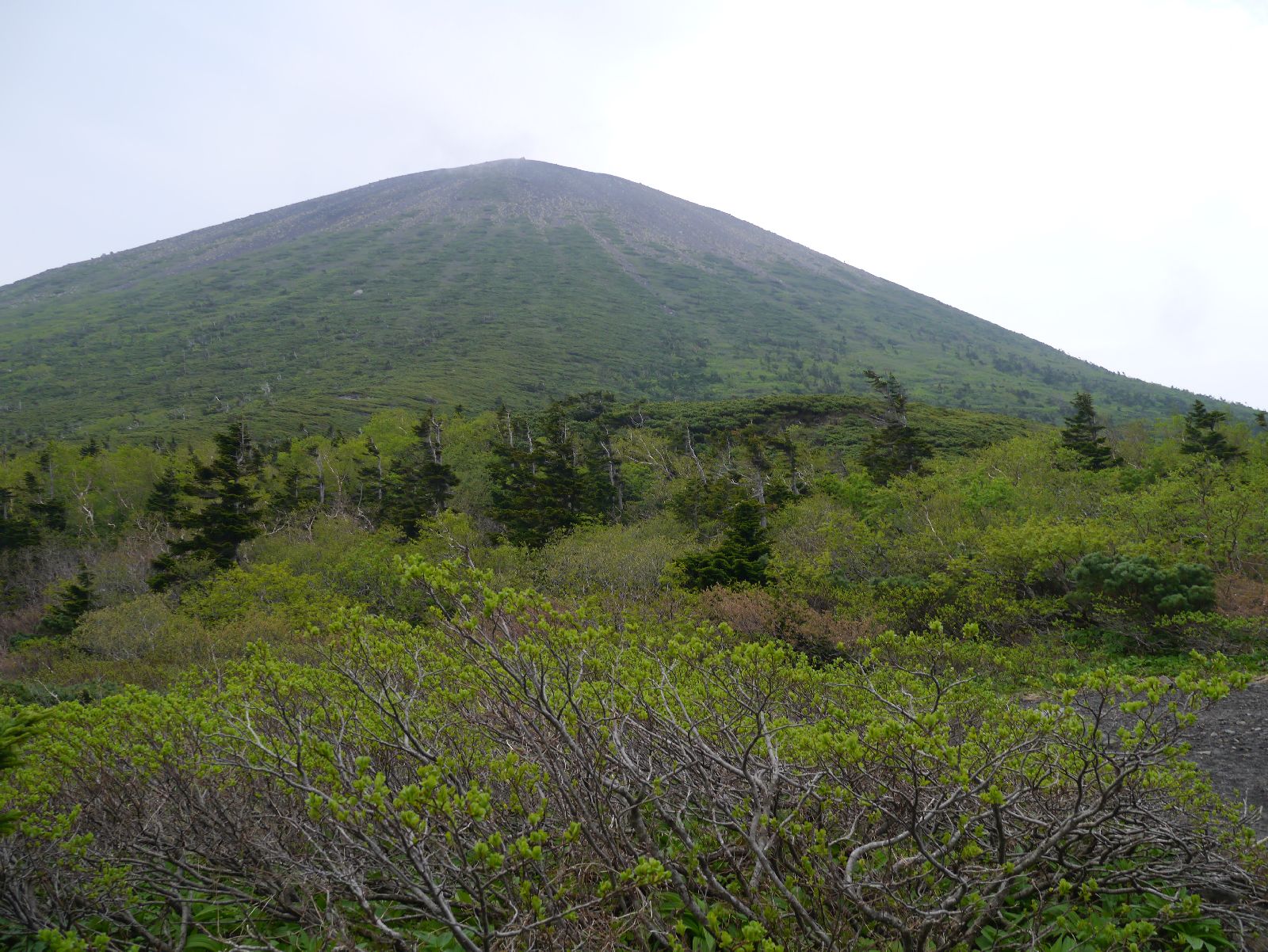 Taipei Hiker 15年6月14日日本東北地區岩手山南部富士を登る