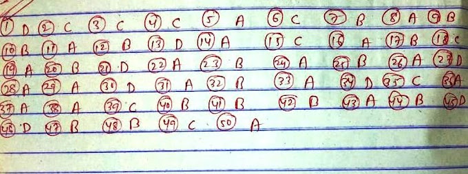 HINDI SET 03 ANSWER KEY 