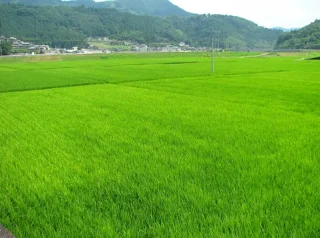 田舎の景色