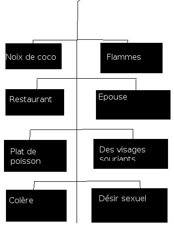 Raconter Et Comprendre Un Reve En Islam Papotons Ensemble
