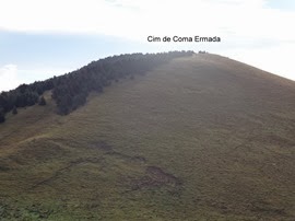 DSC01286