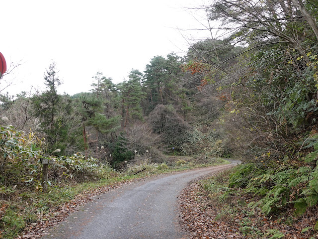 赤松池の脇道を降ります