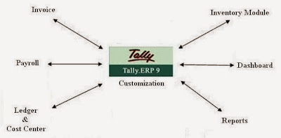 Tally Customization for MIS