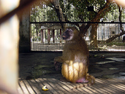 Dhaka Mirpur Zoo