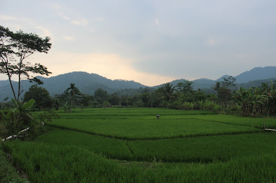 Suasana alam desa Cikondang, Kecamatan Cibeber, Kabpuaten Cianjur, Jawa Barat