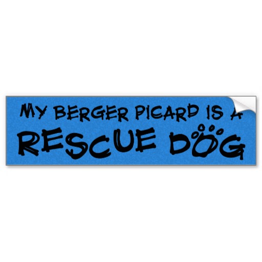 Berger Picard Rescue3