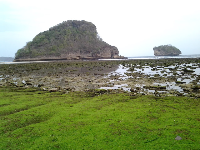 Percutian ke Pantai Gua Cina Malang Indonesia. Terletak di Malang