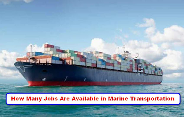 How Many Jobs Are Available in Marine Transportation Update 2022