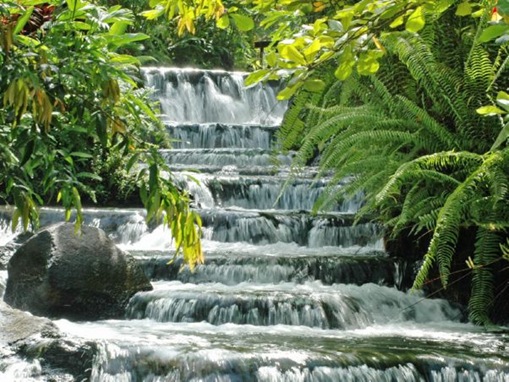 Tabacon Hot Springs, Arenal Volcano National Park, Costa Rica picturesDiverse Ecosystem, Costa Rica