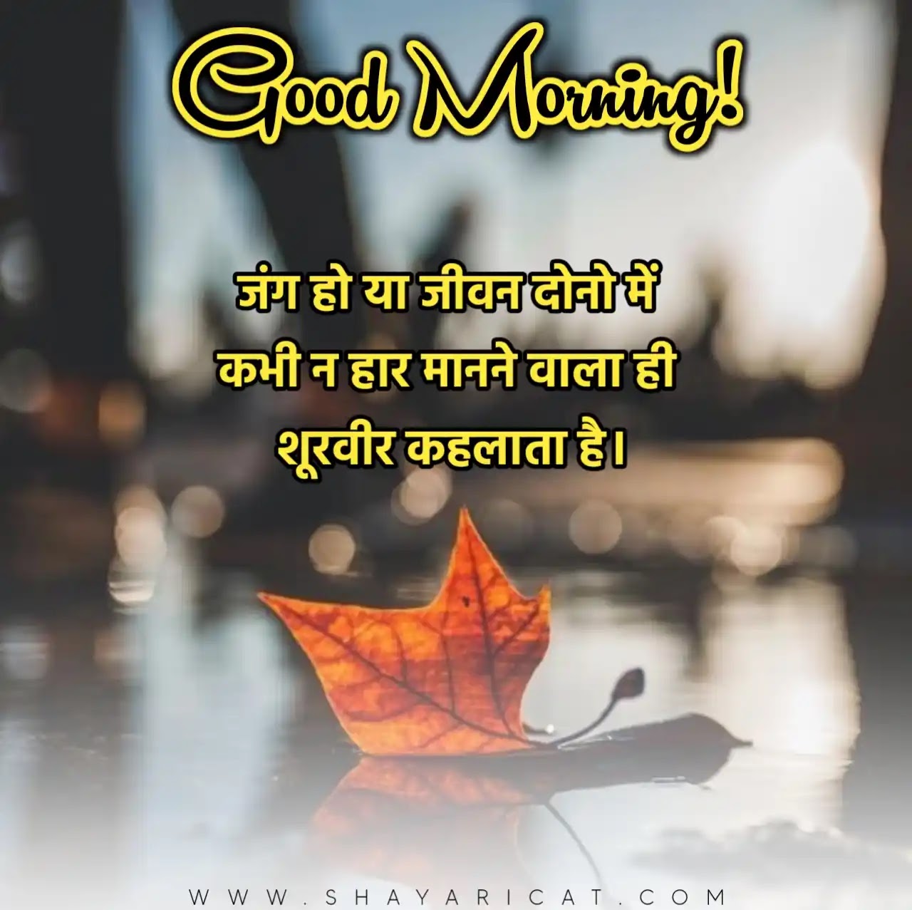 50+] Good Morning Quotes In Hindi | गुड मॉर्निंग ...