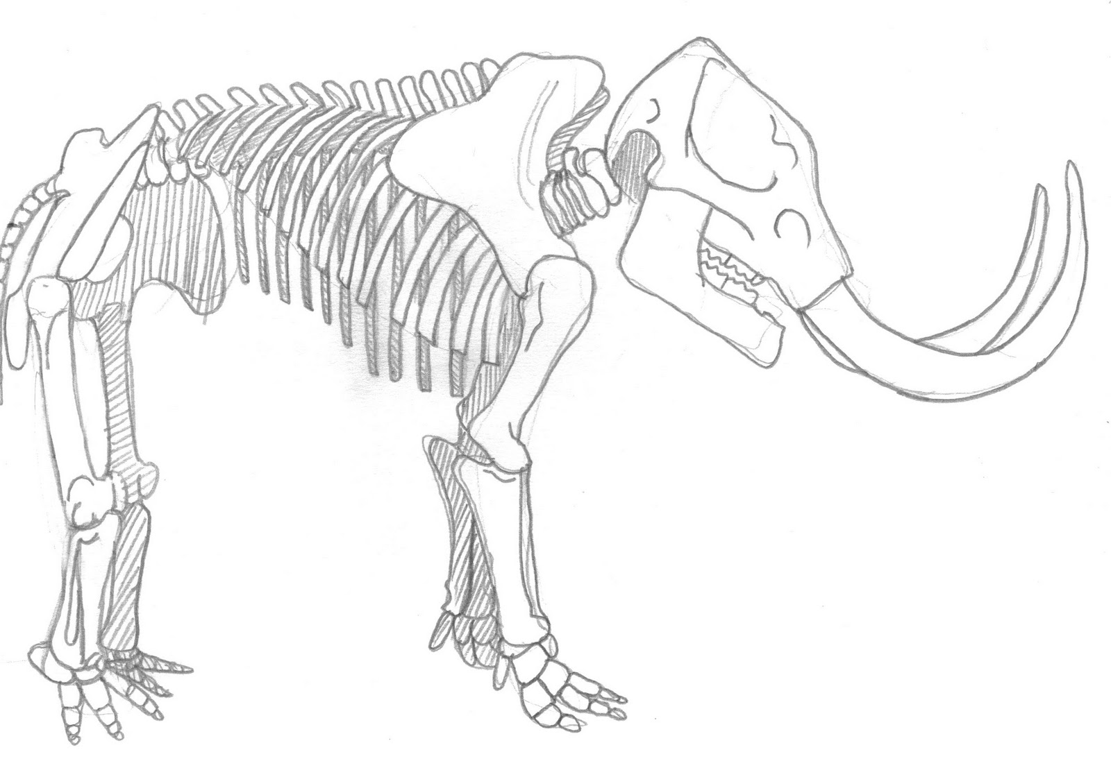 Download ART Evolved: Life's Time Capsule: Drawing Mega-Mammals