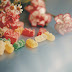  Martha Maccallum CBD Gummies – Stress Healing Gummies Works? Read Reviews First