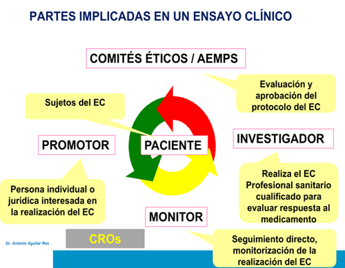 Partes implicadas en un ensayo clínico