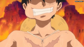 ワンピースアニメ パンクハザード編 581話 ルフィ かっこいい Monkey D. Luffy | ONE PIECE Episode 581