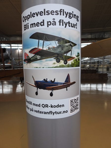 Forsvarets flysamling