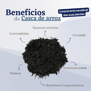 Benefícios da casca de arroz carbonizada