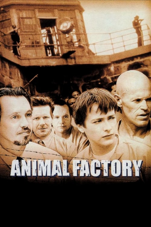 Download Animal Factory 2000 Full Movie With English Subtitles