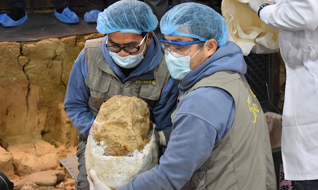 Археологи несут череп, обнаруженный на стоянке Сюэтан Лянцзы в Шияне, провинция Хубэй в Центральном Китае