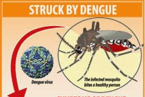 Dangers of Dengue