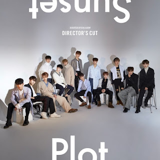 Seventeen - DIRECTOR'S CUT’ Albümü