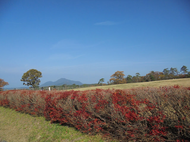 大山牧場みるくの里