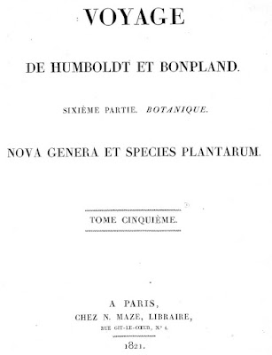 Первое описание вида в работе «Nova Genera et Species Plantarum», выполненное немецким ботаником Карлом Сигизмундом Кунтом