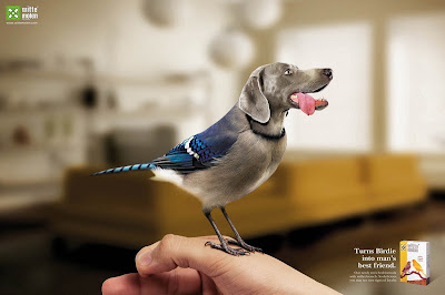 Creative Advertisement Using Animal Seen On  www.coolpicturegallery.us