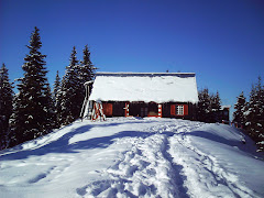 Addicted to Snow