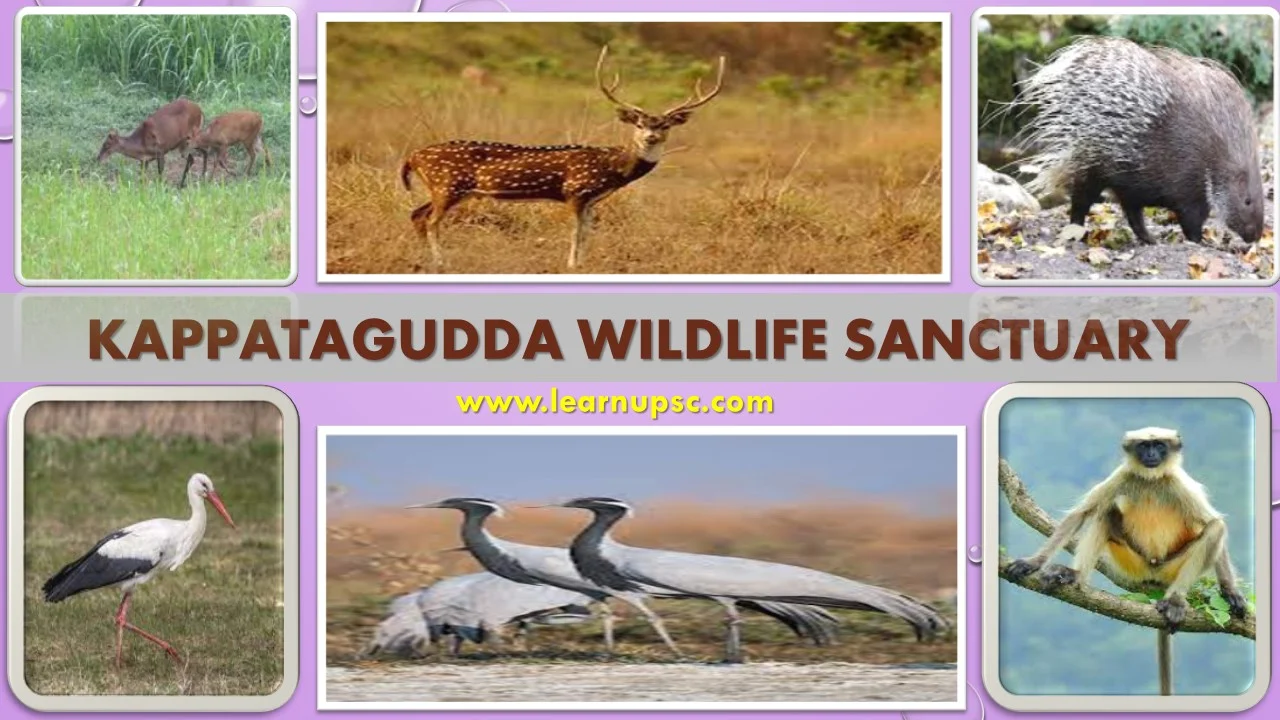 Kappatagudda Wildlife Sanctuary