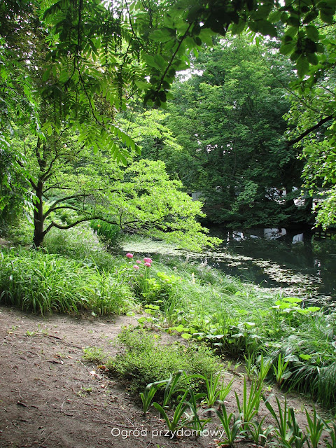 Park Oliwski, ogrod przydomowy