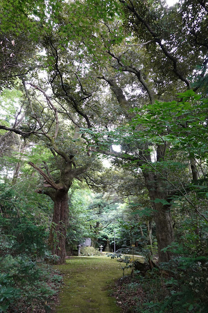 鳥取県米子市淀江町西原 日吉神社